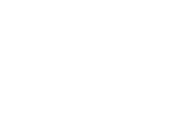 branding icon