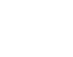 spam icon