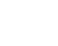 stradegy icon